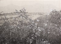 藏品(草衣NO.1)的圖片