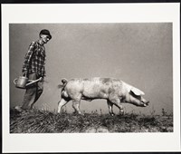 藏品(牽豬哥)的圖片