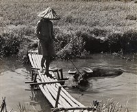 藏品(看牛童與水牛（臺北近郊）)的圖片