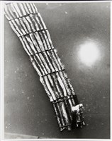 藏品(光復橋下（大漢溪）)的圖片