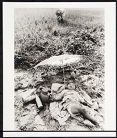 藏品(田園寸景)的圖片