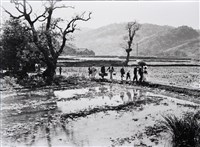 藏品(鄉下婚禮)的圖片