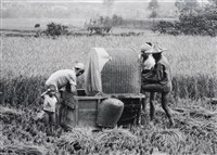 藏品(收割)的圖片