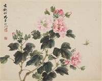 藏品(芙蓉)的圖片