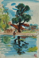 藏品(鄉村)的圖片