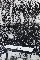 藏品(林中落葉)的圖片