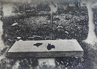 藏品(落葉)的圖片