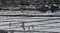 藏品(鹽田)的圖片