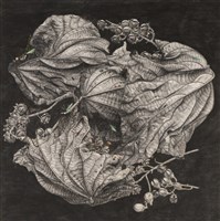 藏品(樂園)的圖片