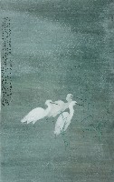 藏品(白鷺鷥)的圖片