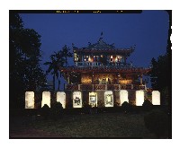 藏品(收藏童年系列_ㄕˊ龜)的圖片