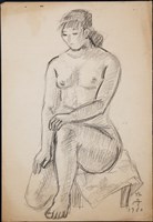 藏品(191101-0009)的圖片