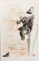 藏品(枯荷)的圖片