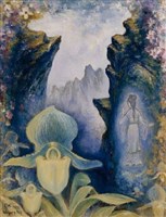藏品(蘭花)的圖片