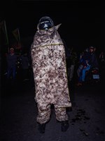 藏品(食炮人- XIV)的圖片