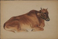 藏品(赤牛 (此為〈菜圃 景色〉之黃牛素描草圖))的圖片