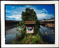 藏品(收藏童年系列9_養鴨人家)的圖片