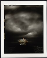 藏品(收藏童年系列12_金魚)的圖片