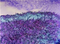 藏品(幻境0315)的圖片