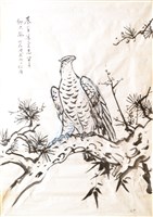 藏品(松鷹-1)的圖片
