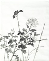 藏品(菊花麻雀)的圖片