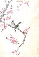 藏品(異花奇鳥)的圖片