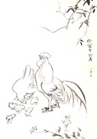 藏品(雞群)的圖片