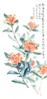 藏品(仙丹花)的圖片