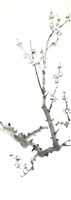 藏品(梅花-2)的圖片
