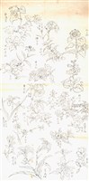 藏品(花之寫生)的圖片