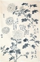 藏品(菊花寫生)的圖片