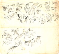 藏品(鳥類集錦)的圖片