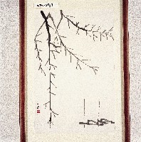 藏品()的圖片