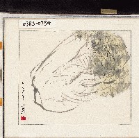 藏品()的圖片