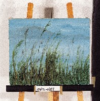 藏品(油畫)的圖片