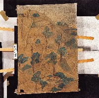 藏品(油畫)的圖片