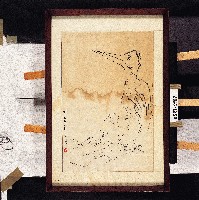 藏品()的圖片