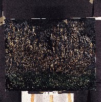 藏品(油畫)的圖片