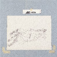 藏品()的圖片