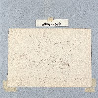 藏品()的圖片