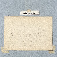 藏品()的圖片