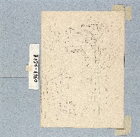 藏品()的圖片