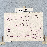 藏品()的圖片