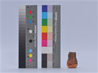 藏品(陶藝)的圖片