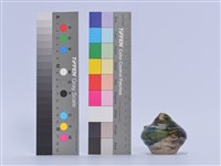 藏品(陶藝)的圖片