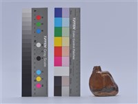 藏品(陶藝)的圖片