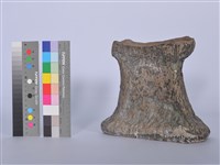 藏品(陶藝)的圖片