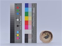 藏品(陶藝)的圖片