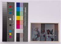 藏品(相片)的圖片