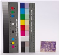 藏品(相片)的圖片